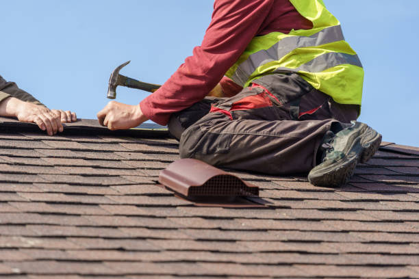 Best Metal Roofing Contractor  in Kenai, AK