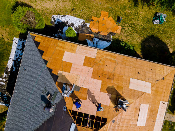 Best Commercial Roofing Services  in Kenai, AK