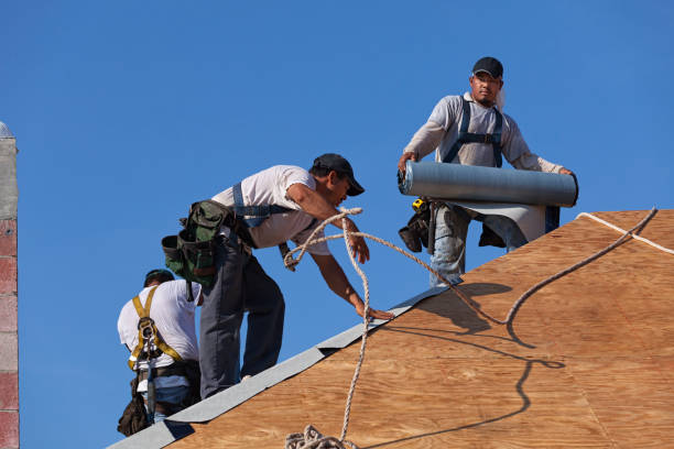 Best Commercial Roofing Services  in Kenai, AK